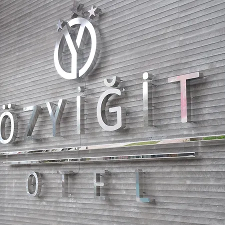 Отель Ozyigit Газипаша